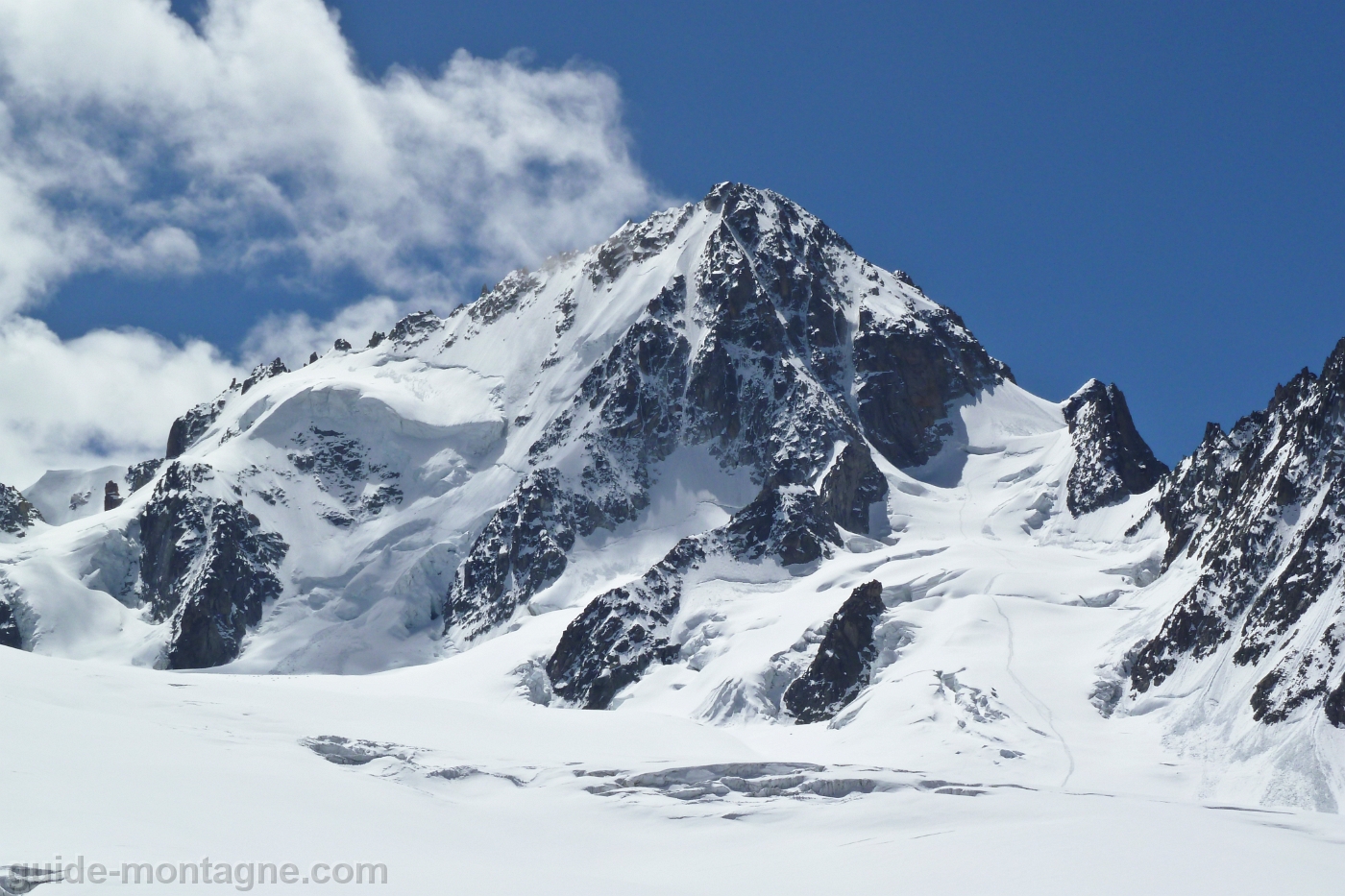 Chardonnet Eperon Migot-01